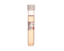 [C-39216] Endothelial Cell Growth Medium 2