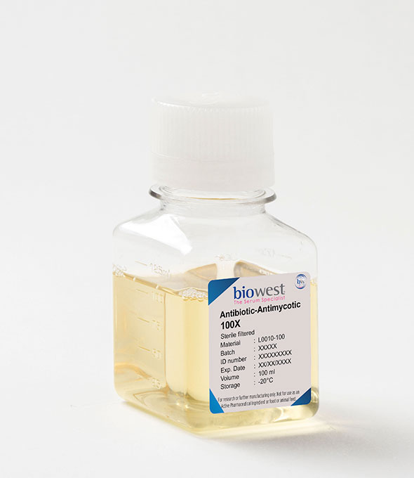 [L0010] Antibiotic-Antimycotic 100X-100ml