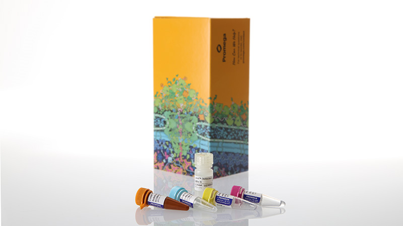 Lumit™ TNF-α (Human) Immunoassay, 100 assays