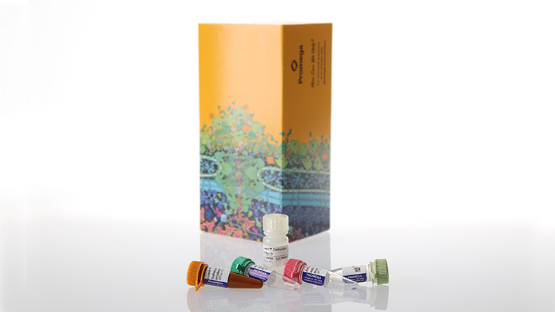 Lumit™ IL-10 (Human) Immunoassay, 100 assays