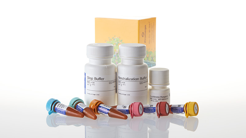 Glucose Uptake-Glo™ Assay, 5ml
