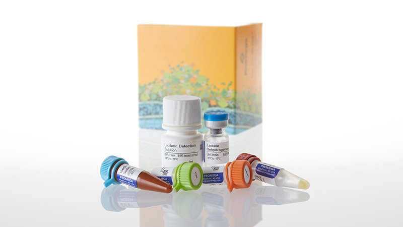 Lactate-Glo™ Assay, 5ml