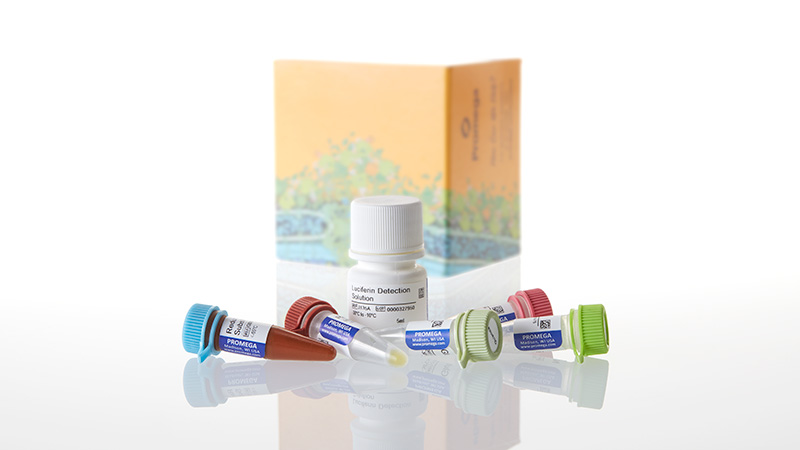 Glutamate-Glo™ Assay, 5ml
