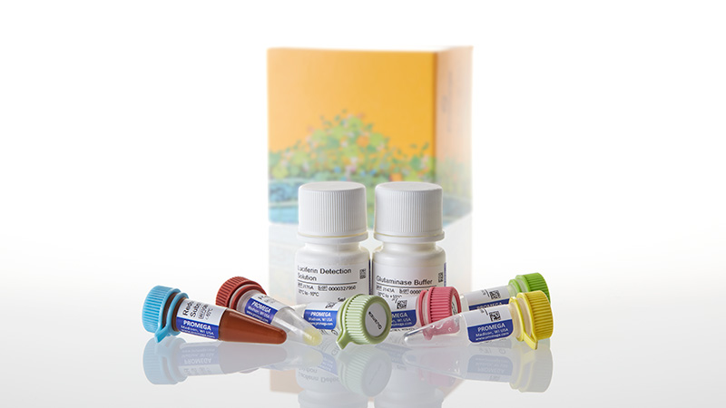 Glutamine/Glutamate-Glo™ Assay, 5ml