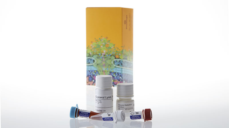 Glycerol-Glo™ Assay, 5ml