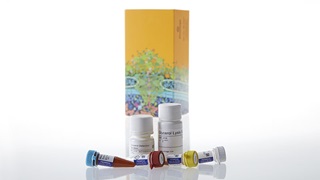 Triglyceride-Glo™ Assay, 5ml