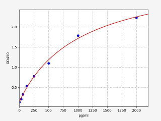 Rat CCL24 / Eotaxin-2 / MPIF2 ELISA Kit
