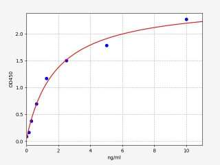 Rat CXCL16 ELISA Kit