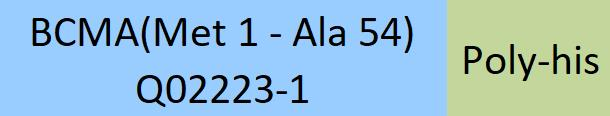 [BCA-HP2H7] BCMA 