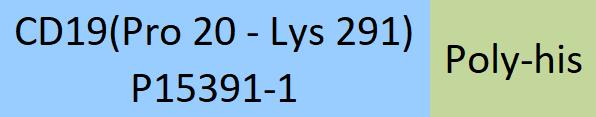 [CD9-HA2H9] CD19 