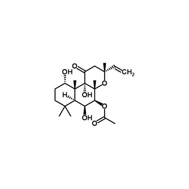 [04-0025] Stemolecule Forskolin (10mg)