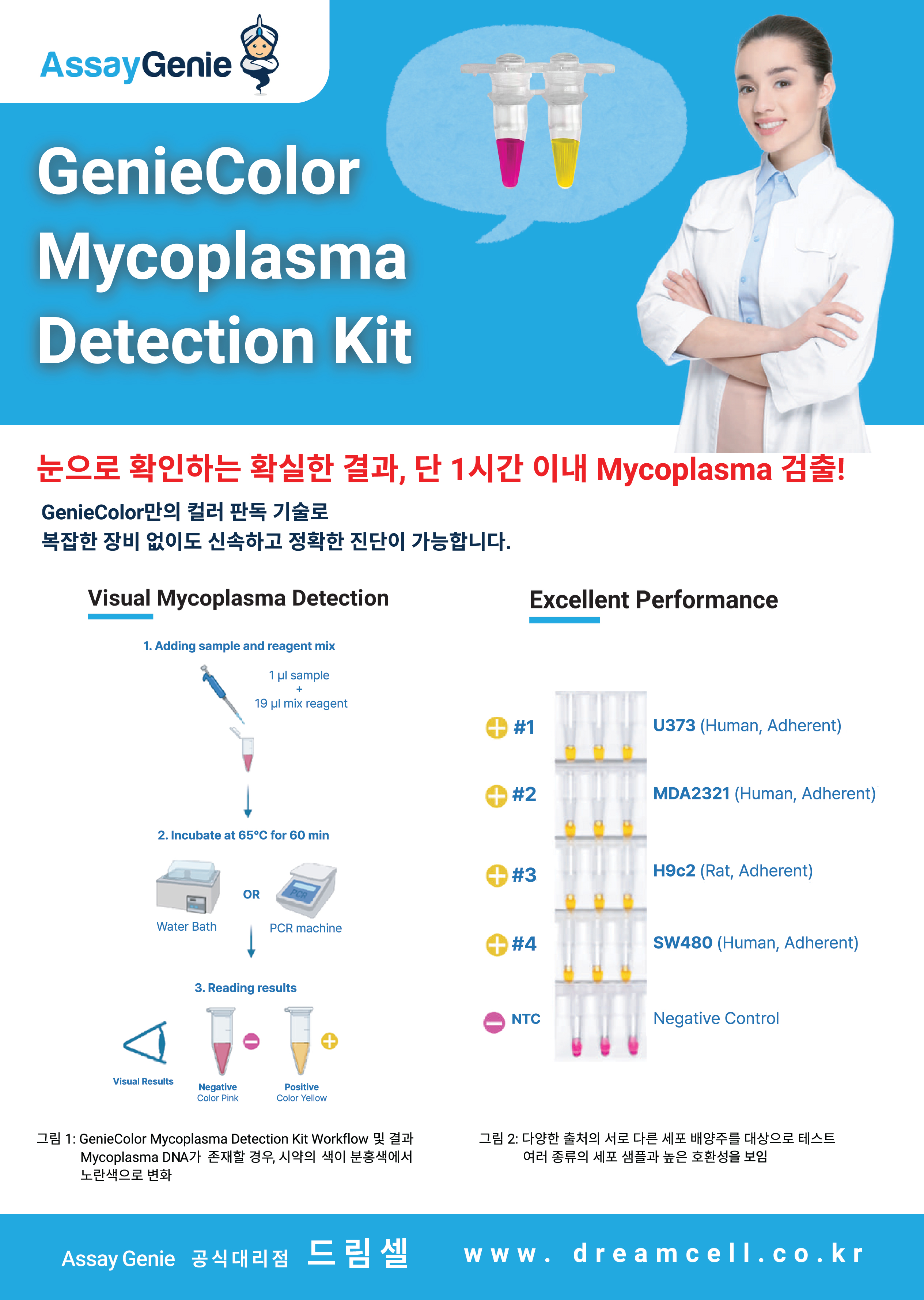 [AssayGenie] 간편하게 컬러로 빠르게 검출! GenieColor Mycoplasma Detection Kit 25%...