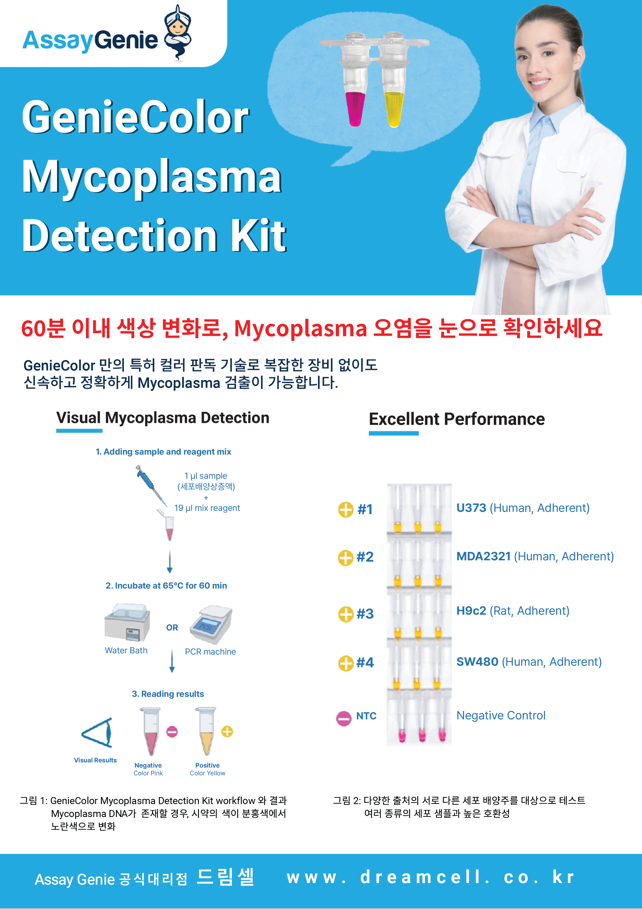 [--종료--][Assay Genie 공식대리점 드림셀] GenieColor Mycoplasma Detection Kit 20% 파...